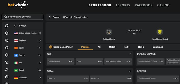 User browsing bets on BetWhale, one of the best NM online sportsbooks.